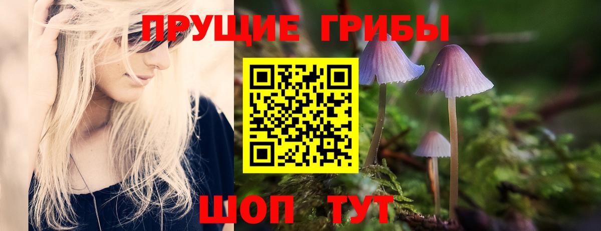 Галлюциногенные грибы Cubensis Советск