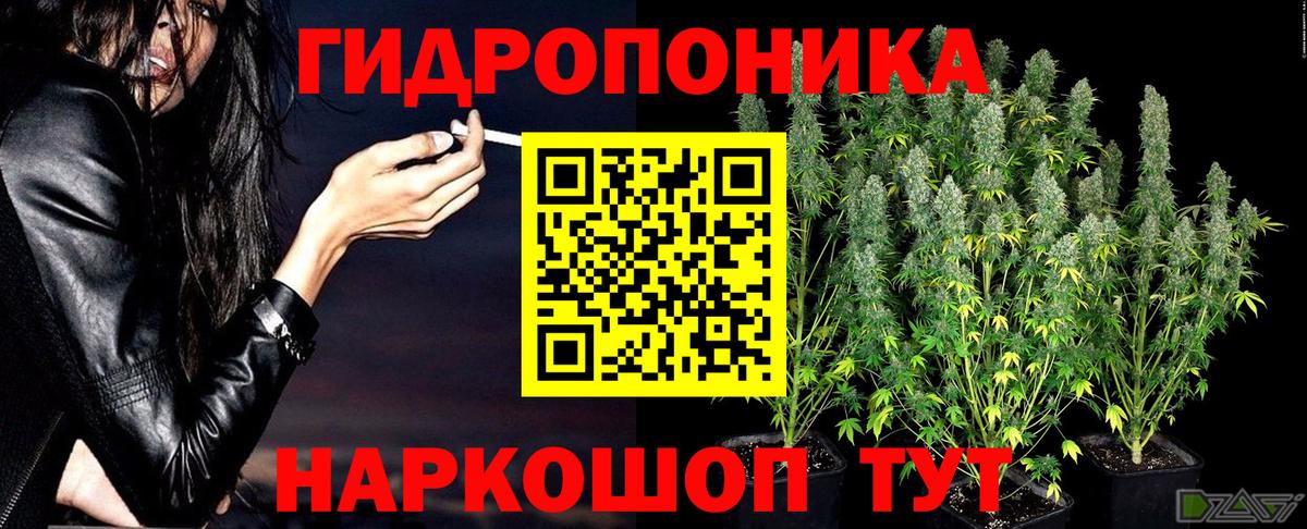 Марихуана VHQ  Вход с VPN  Каннабис ГИДРОПОН  Советск  МАРИХУАНА White Widow  Каннабис THC 21% 